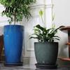 Resin Flower Pot Deep Imitation Ceramic Plant with Drainage Hole Monstera Unique Planter Saucer for Indoor Outdoor Plants Home Garden Office