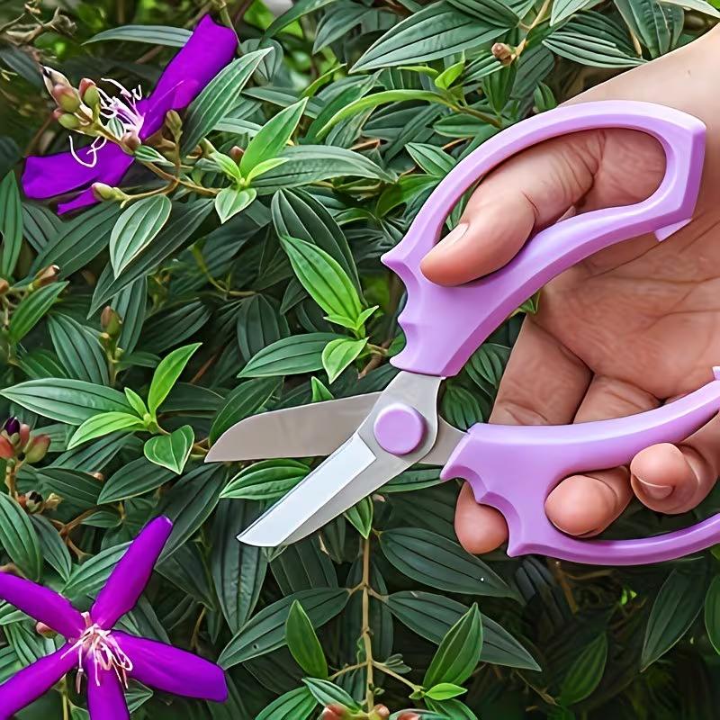 Professional Pruning Shears Stainless Steel Garden Scissors Heavy Duty Plant Trimmer for Flowers, Branches, Fruit Picking and Gardening