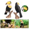 Life Like Toucan Model Figure Toy RealLife Animal Statue Bird Figurine SafariZoo Boutique Store Science Classroom Award