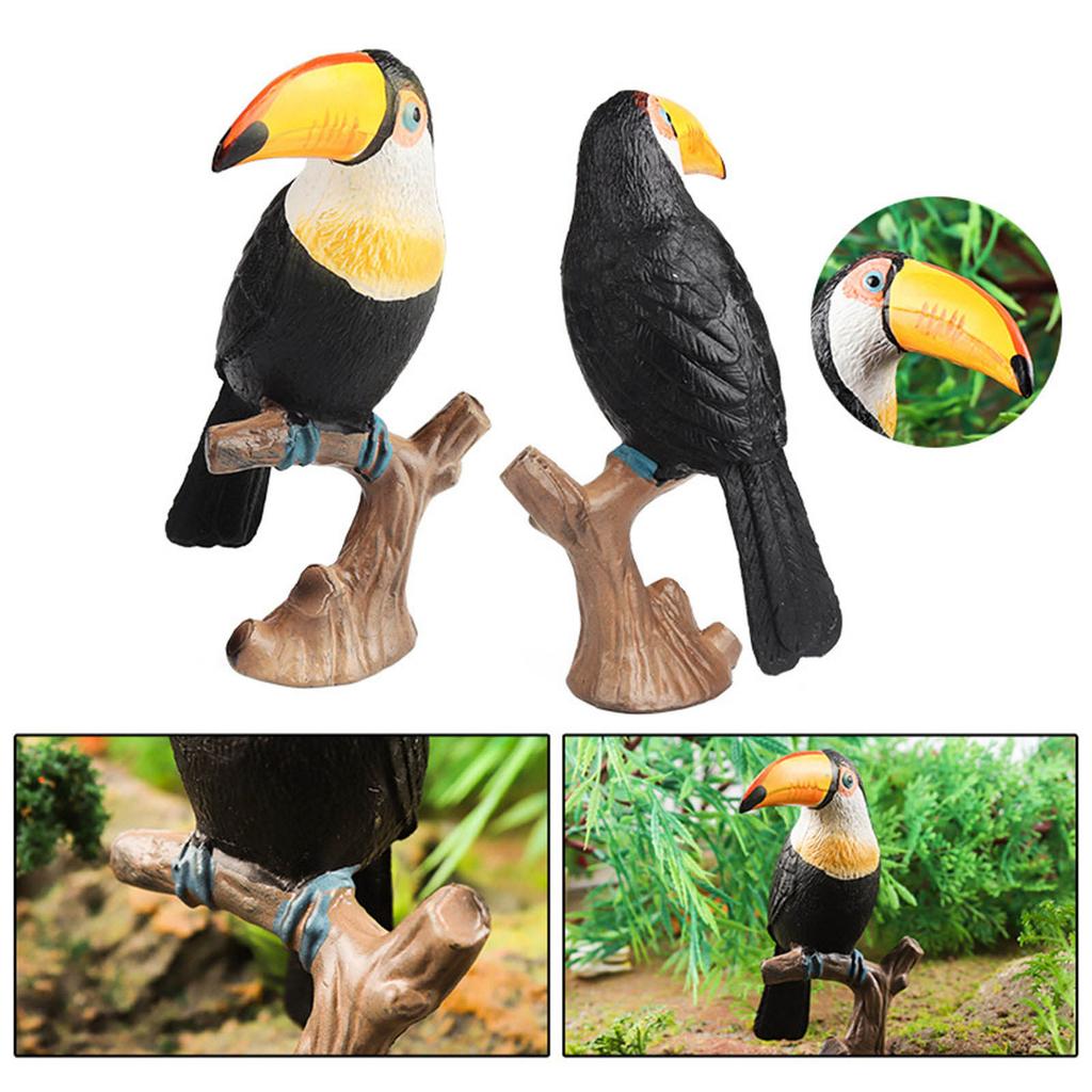 Life Like Toucan Model Figure Toy RealLife Animal Statue Bird Figurine SafariZoo Boutique Store Science Classroom Award