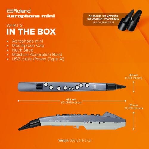 Roland AEROPHONE AE-01 Digital Wind Instrument with Recorder Fingering, App and Bluetooth Compatible