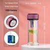 Vasn Double Wall Glass Tea Infuser Bottle