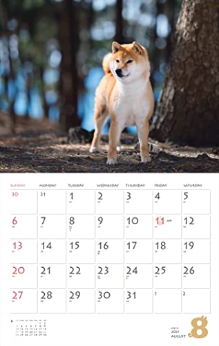 Calendar 2023 Shiba Inu (Month Flip/wall Hanging) (Yamakei Calendar 2023)