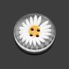 50PCS 2 Holes Daisy Buttons Round Sewing Button Sweater Clothing Button  Clothing Sewing