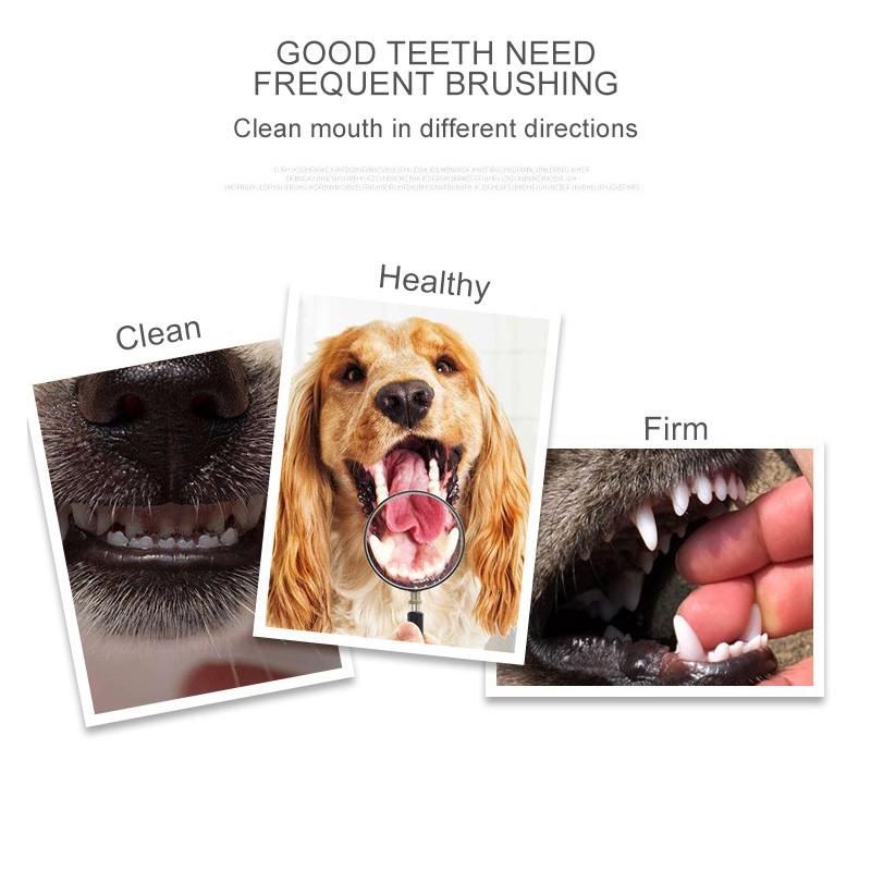 quality pet supplies