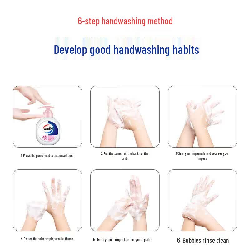 Walch Healthy Antibacterial Hand Soap