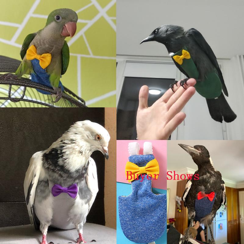 Papageien Tauben Windel Fluganzug Vogel Windel Papageien Kleidung Für Grünsittich Wellensittich Aratinga Kleine Mittlere Große Vögel
