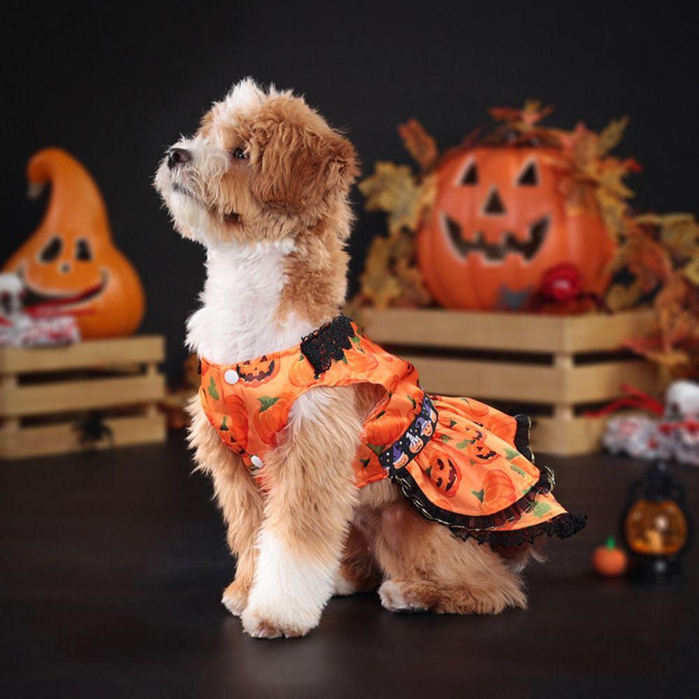 Pumpkin Pattern Pet Halloween Dress Creative Dog Pumpkin Lace Skirt  Home Decor