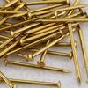Antique Brass Round Head Copper Nails for Hinges & Decorative Use, Golden Finish, Small Size