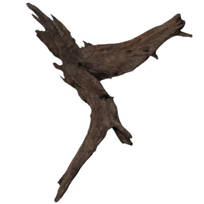 Buddha Driftwood 31-40 Cm