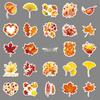 50pcs Autumn Yellow Tree Leaves Waterproof Decorative Stickers for Computer and Luggage