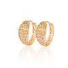 Gold Multi-Style Zircon Hoop Earrings for Women