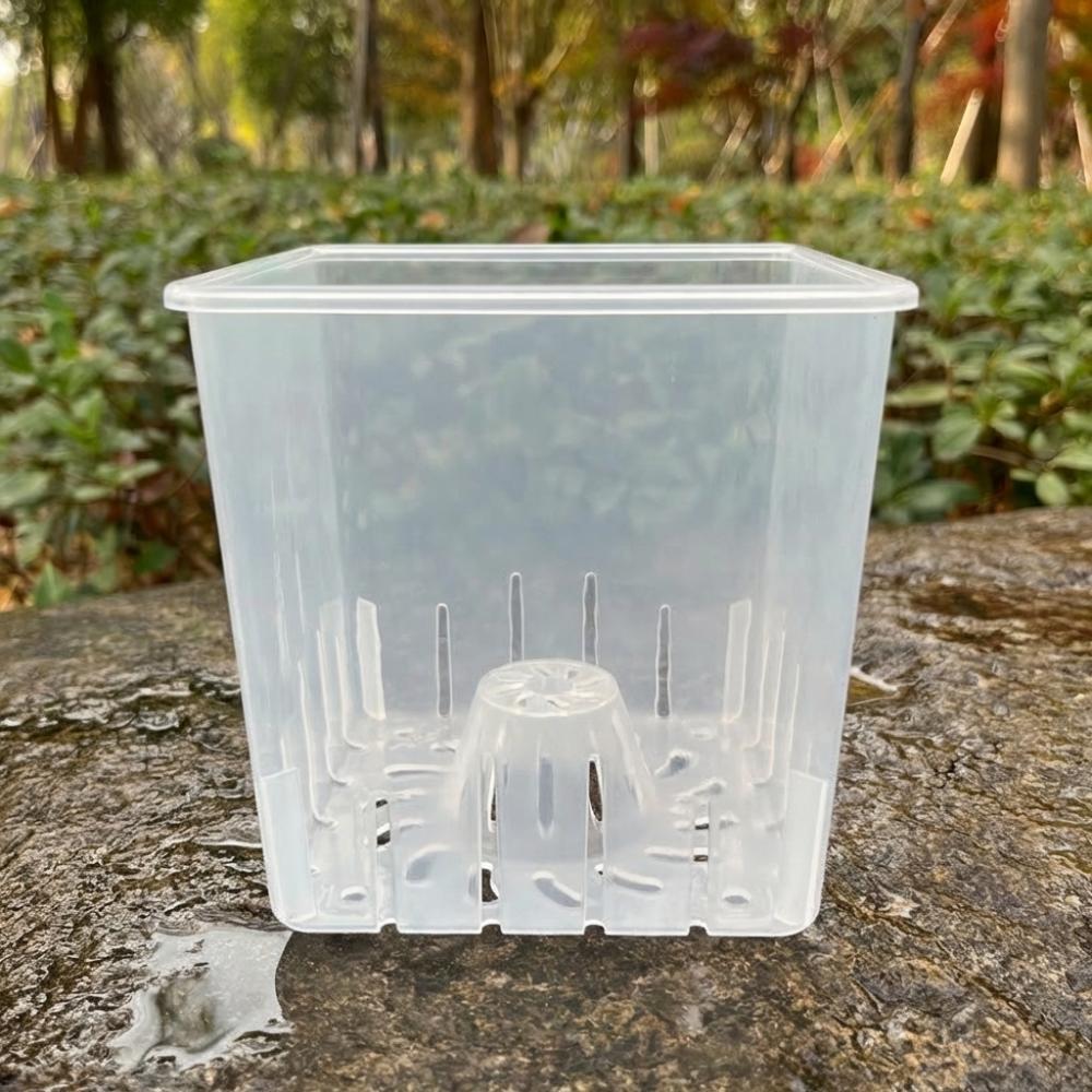 Square Clear Flower Pots with Trays Plant Nursery Pot Orchid Plant Grow Pot  Indoor Orchid Growing 10.5cm/4.13in-Without Tray