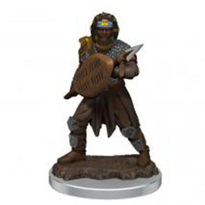 D&D Realms Icons Premium Male (Human Fighter)