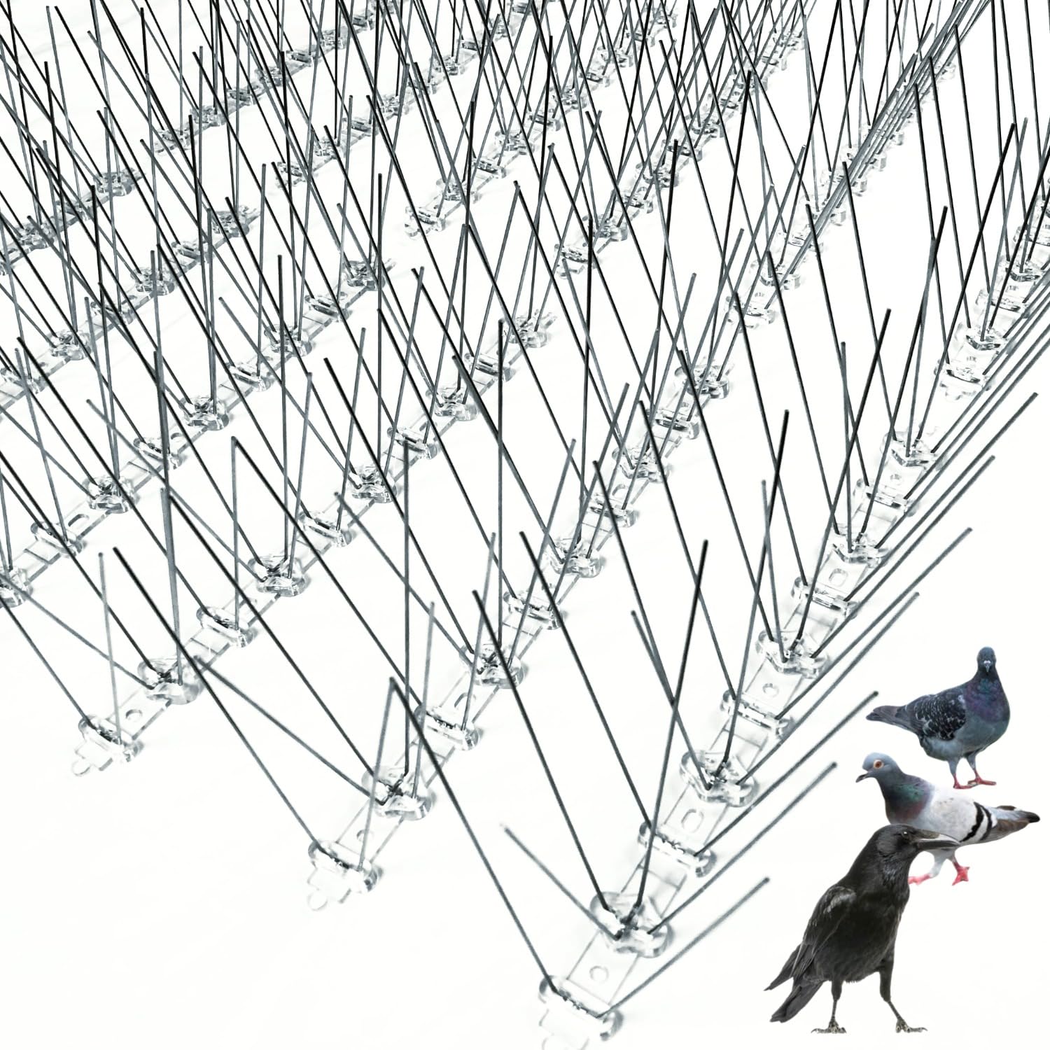 

ONESORA Pigeon Bird Stainless 20m Keeps Crows Prevents Bird Protects Balcony and Easy Instruction Manual Included Repellent, Spikes, Deterrent, Steel,