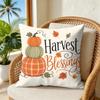Pumpkin Patch Cushion Cover Double-Sided Plush Sofa Cushion Covers Organic Breathable Invisible Zipper