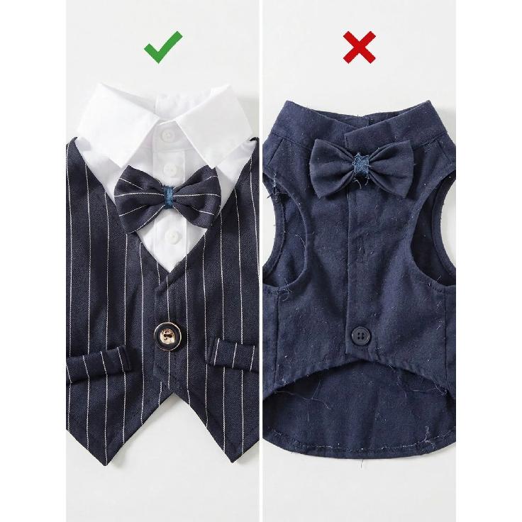 Polyester Haustierkleidung Teddy Hundekleidung Frühling Sommer Haustierjacke Katzenkleidung Weinrot Marineblau Schwarz Hundemantel mit einer Fliege