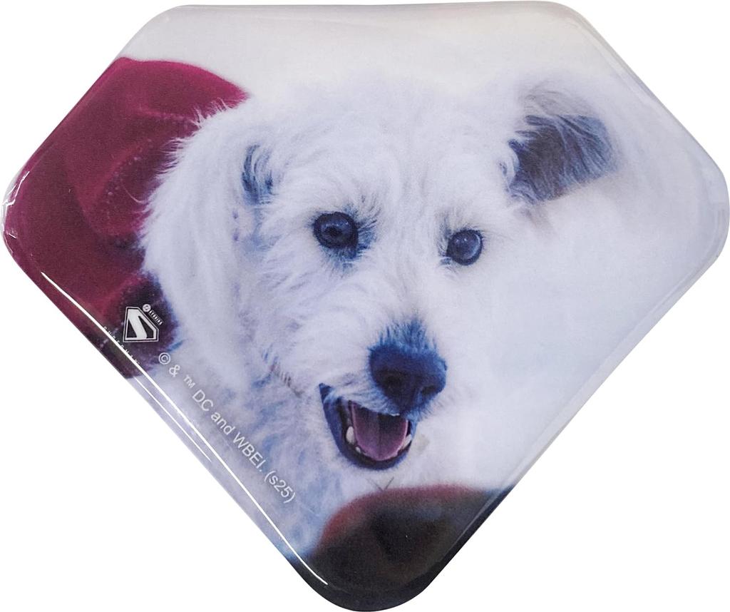 Superman Blind Can Badge IBA347 (Complete)