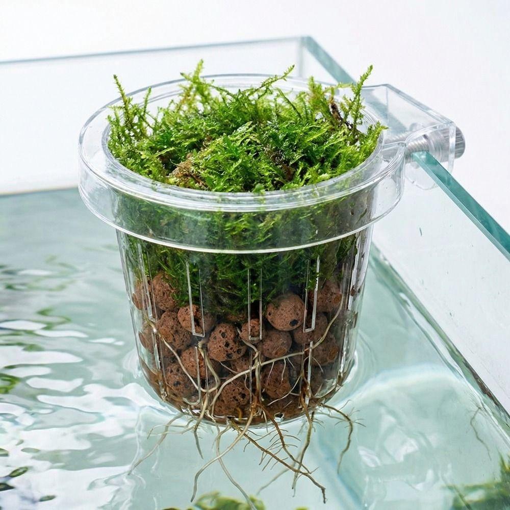 Transparent Fish Tank Grass Cup Round Wall Mounted Hydroponic Support Plastic Hanging Wall Hanging Pots Hydroponic Gardening