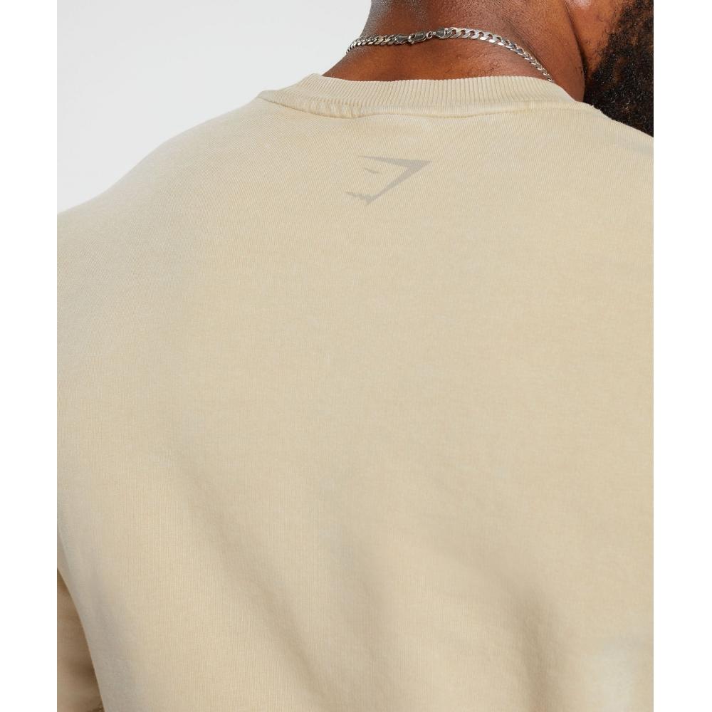 Gymshark Heritage Washed Short Sleeve Crew Desert Beige A4a8d Nb1v