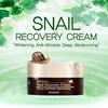 Deoproce Snail Recovery Cream 100g