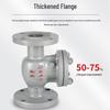 High-Temp Resistant Cast Steel Swing Check Valve DN50/100/150