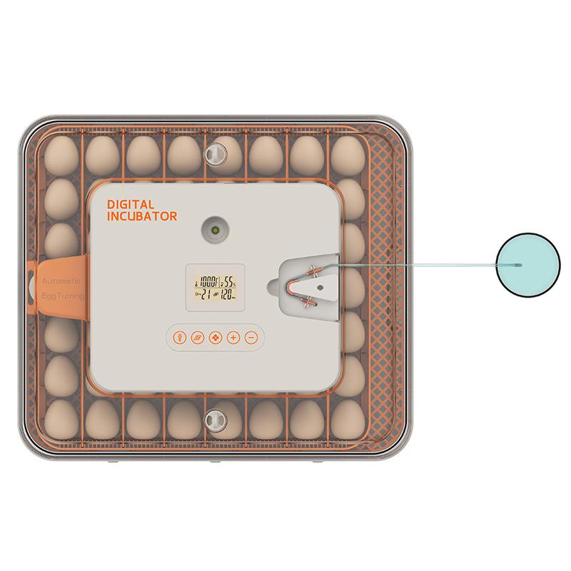 56-Egg Automatic Incubator with Precise Humidity Control, Adjustable Egg Turning, and Countdown Timer for Home Use