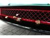 Tesla Model Y Front Bumper Insect Net