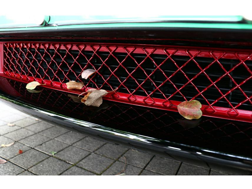 Tesla Model Y Front Bumper Insect Net