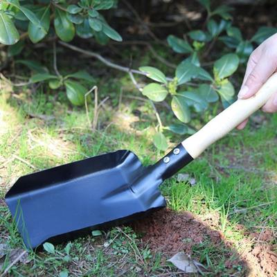 Herramientas de jardinería – Palas