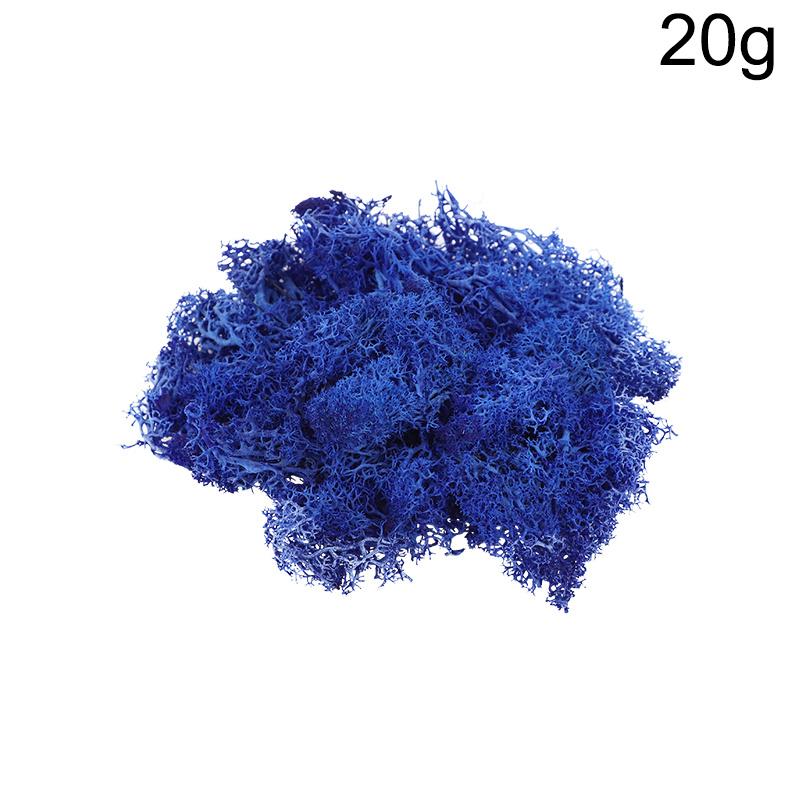 20g Artificial Preserved Moss Eternal Life Green Grass for DIY Crafts Mini Landscape Living Room Home Garden Decoration Supplies