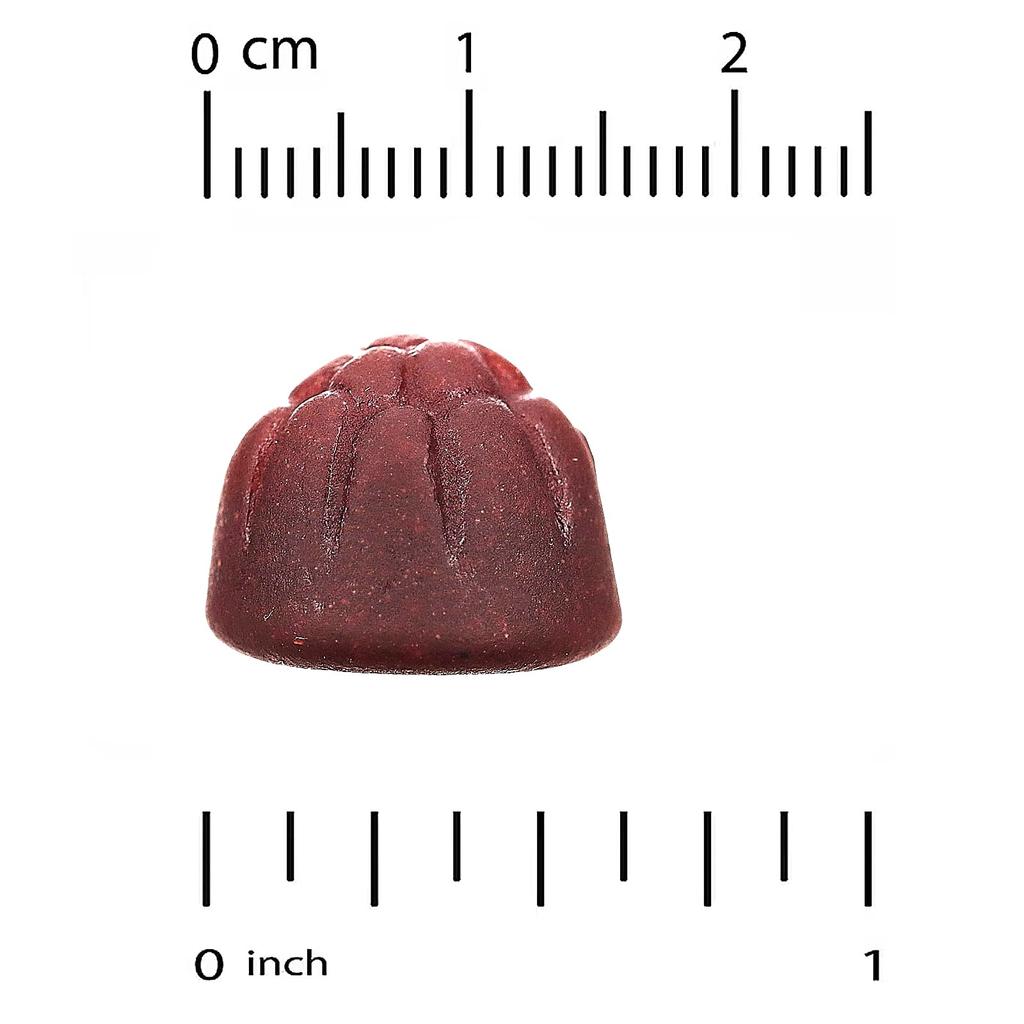 Probiotics with Inulin, Vitamin C, Folic Acid, Berry Extract Blend, Organic Inulin, Natural Mixed Berry Flavor, 90 Veggie Gummies