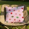 fresh fruits Cushion Cover Soft Reversible  Durable Pillow Cover  MultiScene Use for Home  Car Daily Comfort