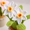 Handwoven Crochet Flowers Narcissus Flowers Potted Artificial Flowers Snowflake Yarn Realistic Knitted Flower Desktop Decoration