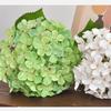 5Pcs/lot 3D Printing of Hydrangea Artificial Silk Flower Wedding Flower Arrangement Party Home Decoration Fake Hydrangea Flowers
