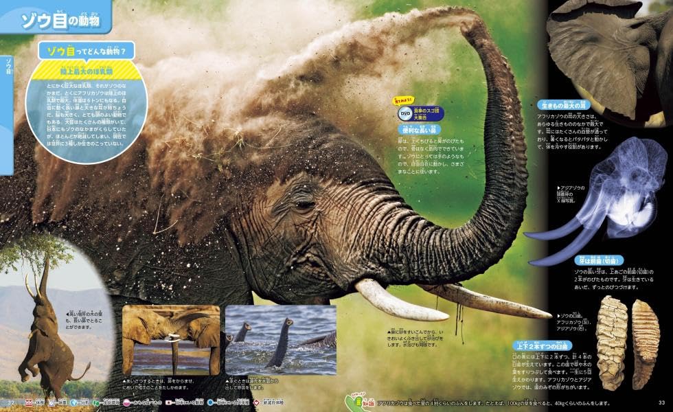 Animals, New Edition, Second Edition (Kodansha's Moving Picture Book MOVE)