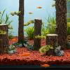 Aquarium Landscape Trunk Stump Model Aquariums Decorations Art Crafts Terrarium Habitat Ornaments