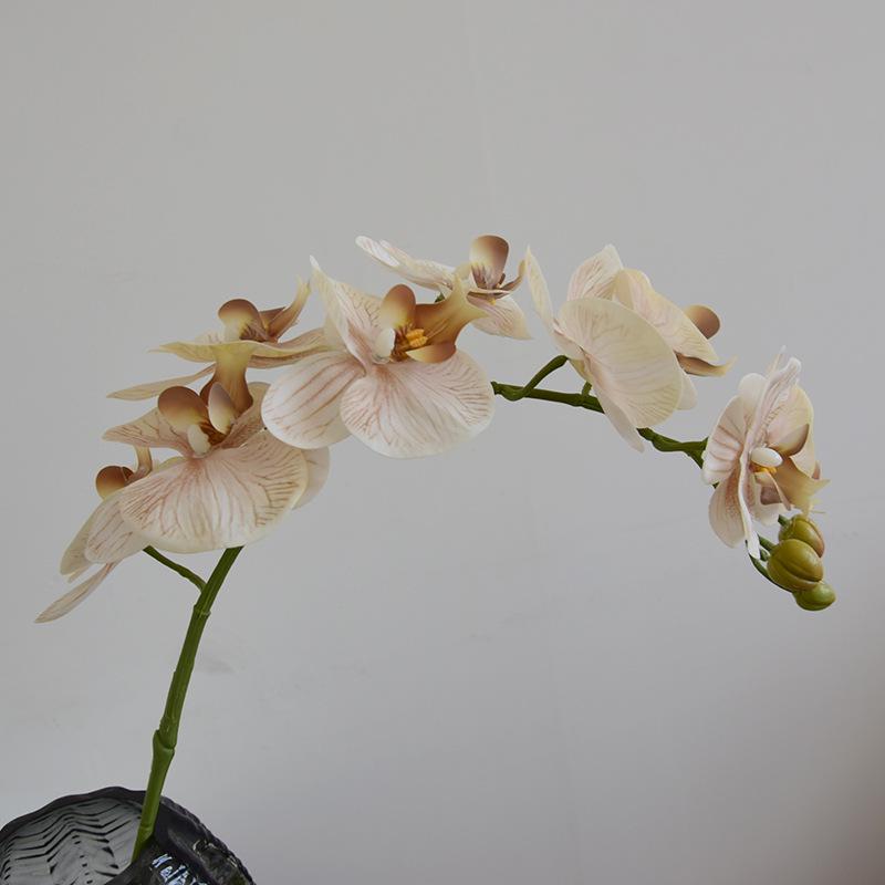 Phalaenopsis Wabi-Sabi Style Artificial Flowers for Home, Wedding, or Hotel Decor
