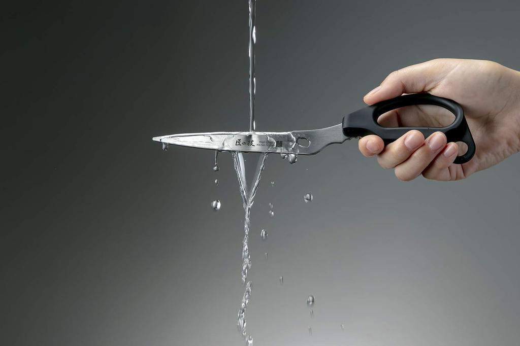 Takumi no Waza Stainless Steel Kitchen Long Scissors, Type, G-2033