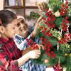 24 Pcs Christmas Tree Decorations,Red Christmas Ornaments Set Artificial Berry Stems Branches for DIY Garland Wreath Christmas Crafts