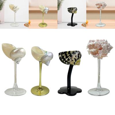 Conch Shell Champagne Glass Cup,Goblet,Cocktail Drinkware,Champagne Cup,Gifts