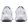 Nike Pegasus 40 Kentucky DZ5986-100
