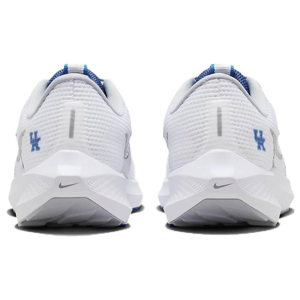 Nike Pegasus 40 Kentucky DZ5986-100