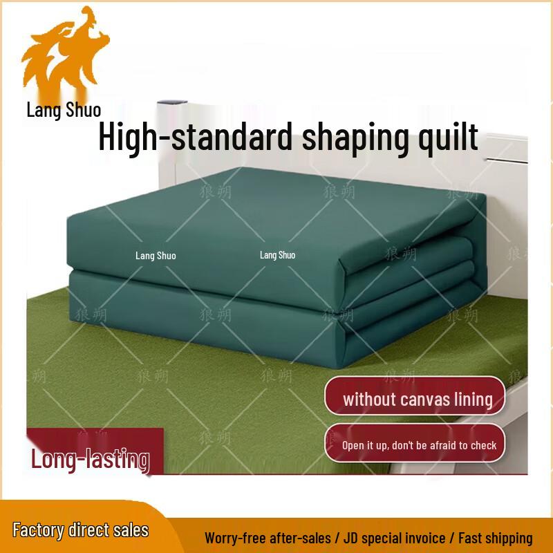 Langshuo Convertible Model Quilt