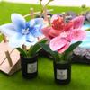 1:12 Dukkehus Miniature Phalaenopsis Blomsterpotte Potteplanter Have Hjem Model Dekoration Legetøj Dukkehus Tilbehør