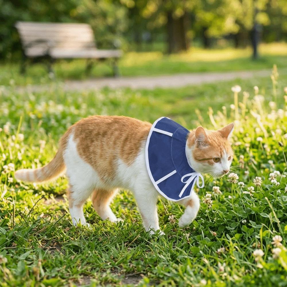 Extended Edge Elizabethan Collar Flexible Surface Anti Lick Shield Protective Cone Pet Recovery S