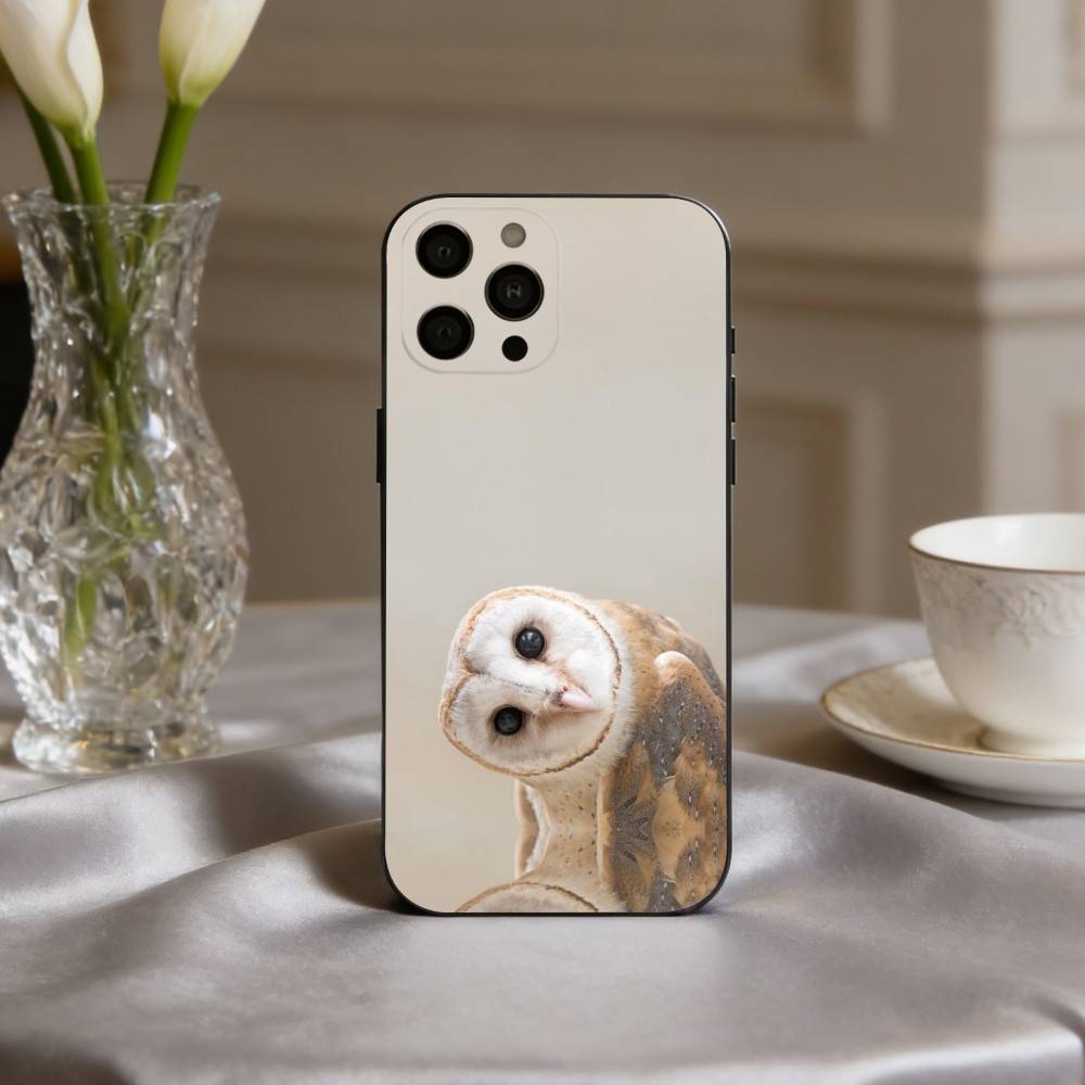 Cute Owl Art Phone Case For iPhone 17pro, 16,15,14,13,12,11 X XR Plus,Others Soft Black Cover