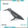 Children's Marine Animal Model Set: Mini Whale, Shark, Dolphin, Turtle, Sea Lion