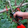 Tying Machine Hand Plant Garden Branch Binding Vegetable Tool