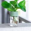 Transparenter Hydrokultur-Blumentopf, einfache und stilvolle Schreibtischdekoration für Blumen- und Pflanzenliebhaber.